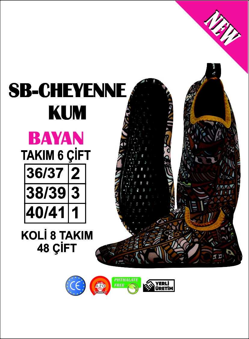 Deniz Ayakkabısı / Sea Shoes