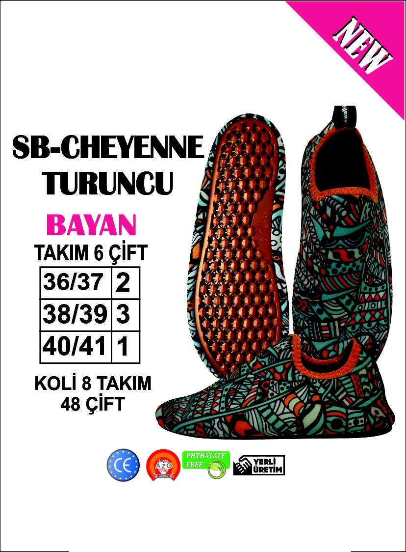 Deniz Ayakkabısı / Sea Shoes - 1